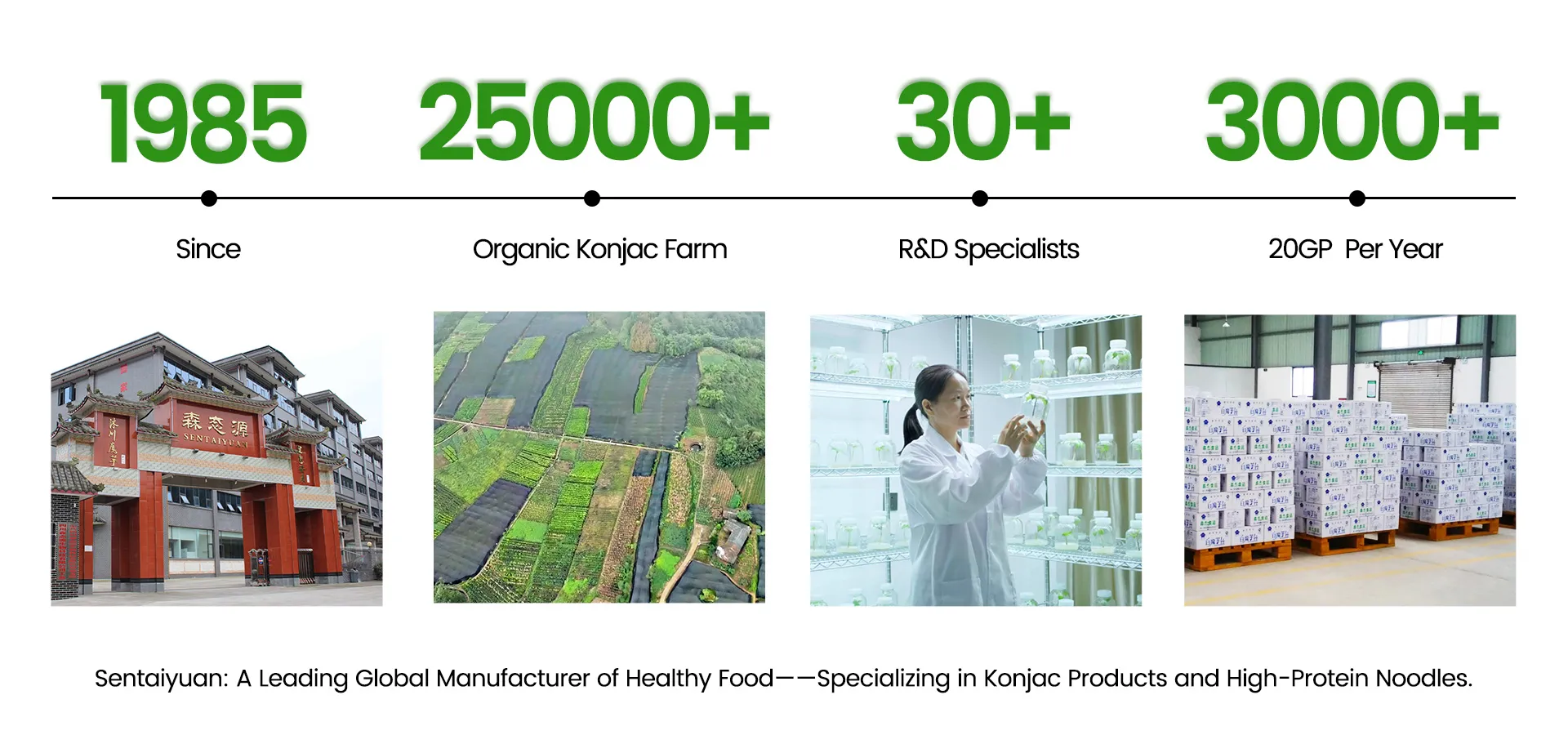 Best Konjac & High-Protein Noodles Manufacturer